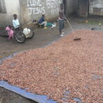Cameroun