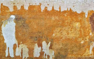 Peinture qui cloque à la cave : remonter à la source de l'humidité